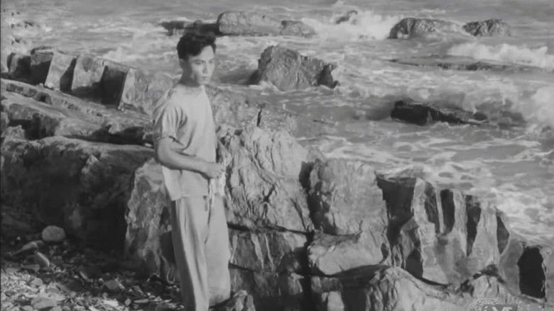 кадр из фильма На берегах одной реки