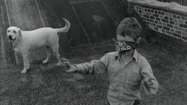 Born to Film