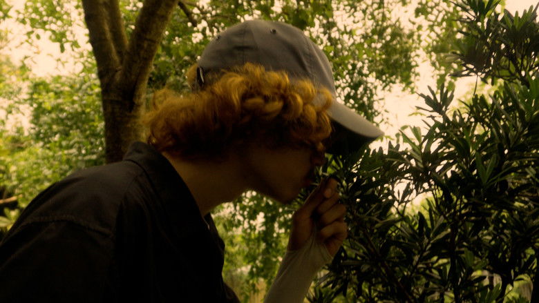 кадр из фильма REELs