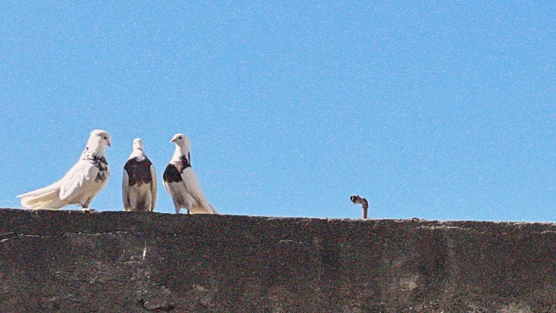 кадр из фильма Zendegi