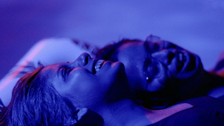 кадр из фильма Hummingbirds