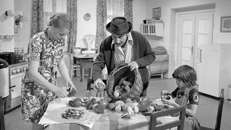 кадр из фильма Bohoušův syn