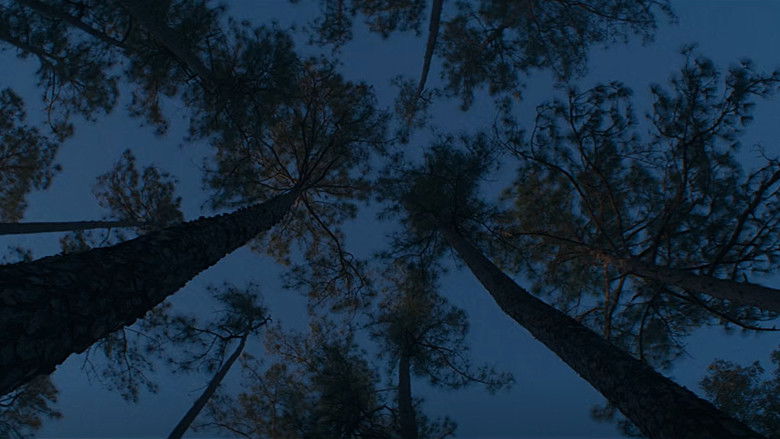 кадр из фильма It Ends