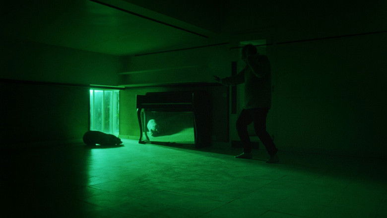 кадр из фильма O trio em mi bemol