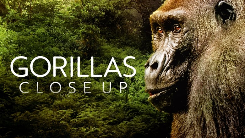 кадр из фильма Gorillas Close Up