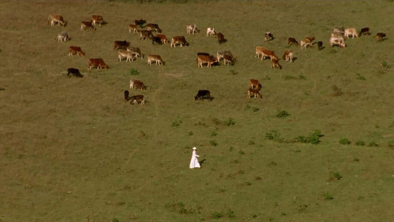 кадр из фильма नैनसुख