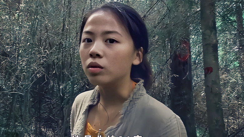 кадр из фильма 北纬31°录像带
