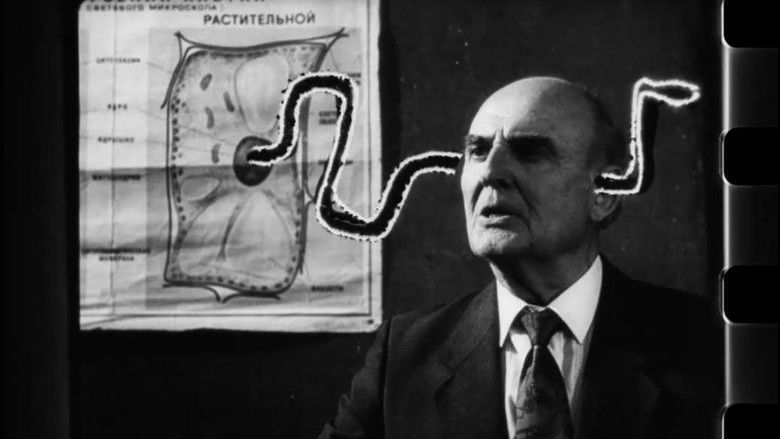 кадр из фильма Колы