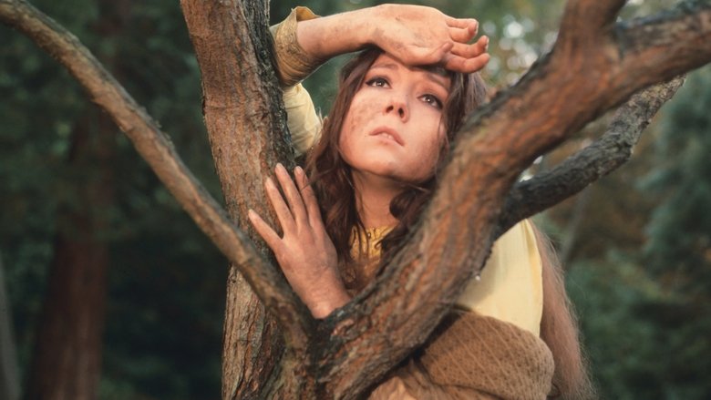 кадр из фильма Сон в летнюю ночь