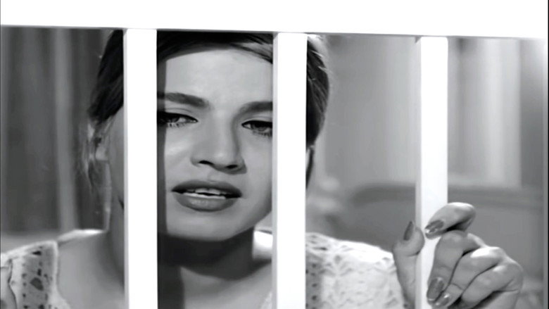 في طريقي رجل