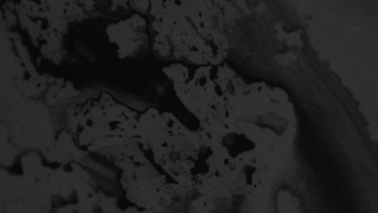 кадр из фильма Je peux pas supporter l'éteinte da le douceur dans ce monde