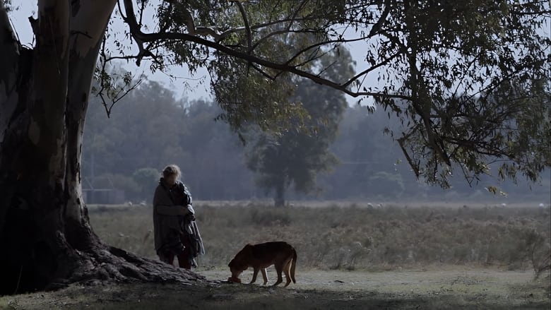 кадр из фильма La mujer de los perros