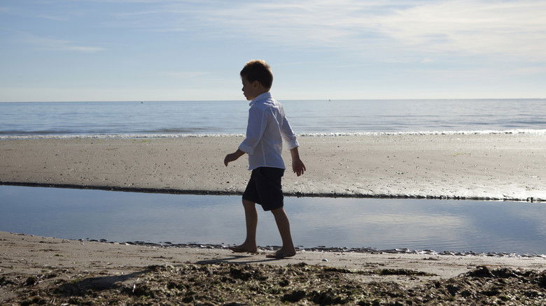 кадр из фильма La terra dei santi