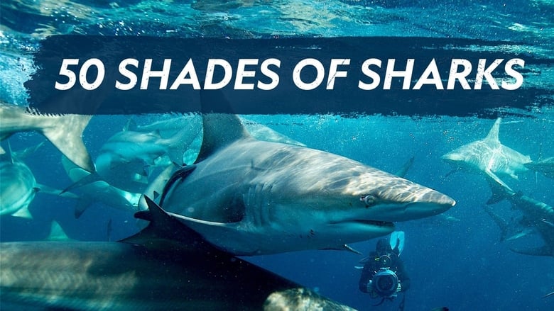 кадр из фильма 50 Shades of Sharks