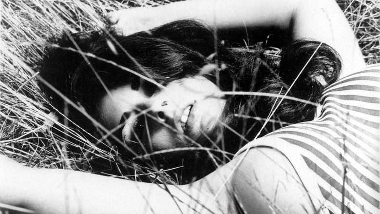 кадр из фильма Мегера