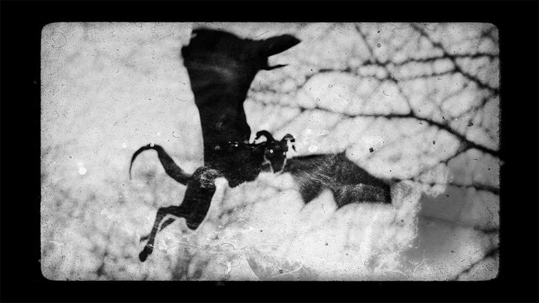 кадр из фильма Bloodlines: The Jersey Devil Curse