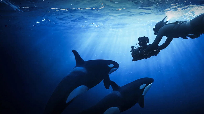кадр из фильма Unter Orcas