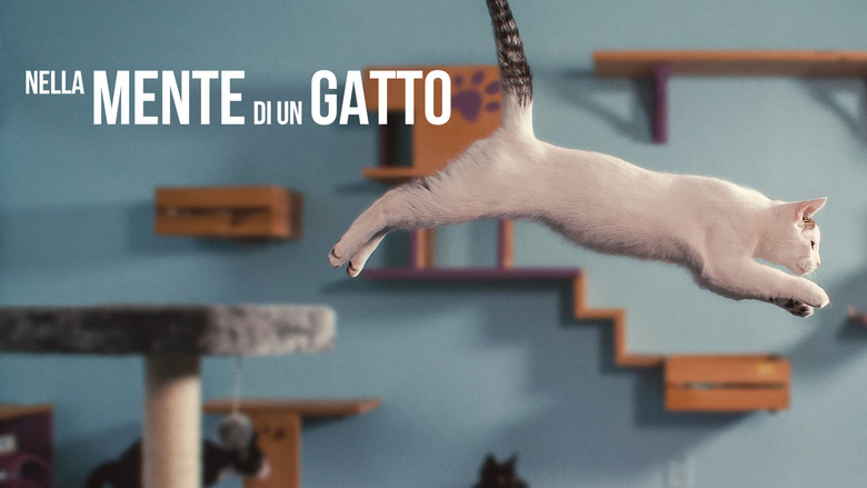 кадр из фильма Внутри разума кошки