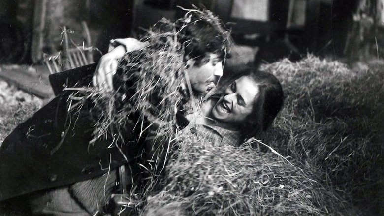 кадр из фильма Rdeče klasje