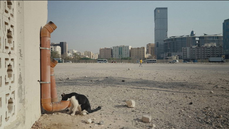 кадр из фильма 25 Cats from Qatar