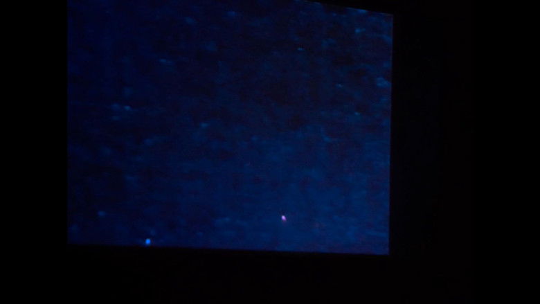 кадр из фильма Joyce