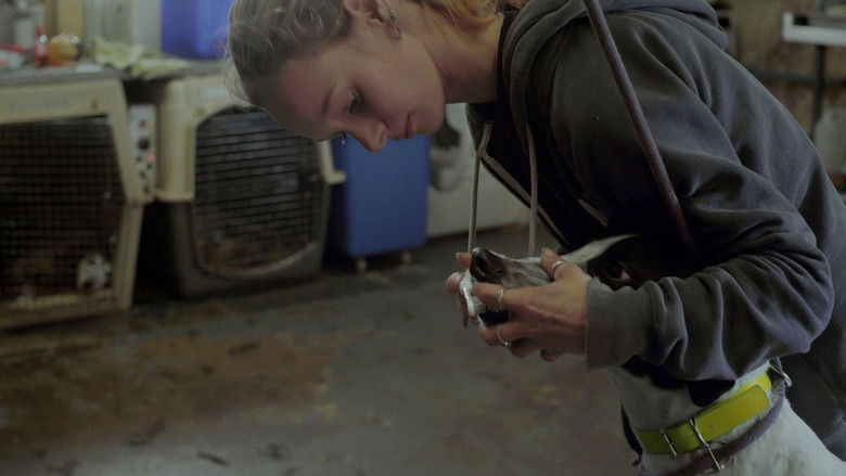 кадр из фильма Going to the Dogs