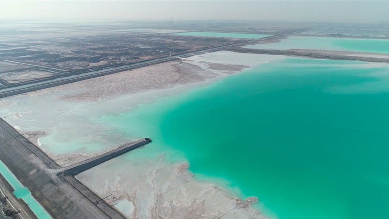 кадр из фильма Hungry Seagull