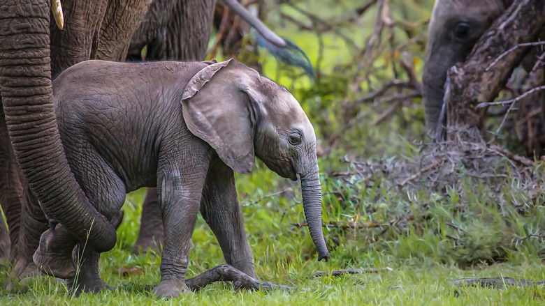 кадр из фильма Little Giant