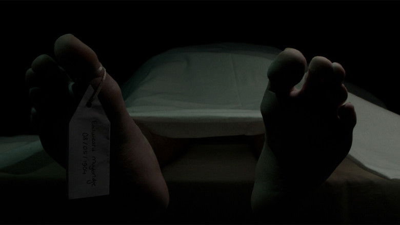 кадр из фильма Portrait of a Horse