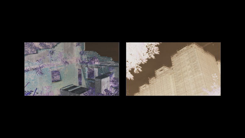 кадр из фильма 良夜之歌