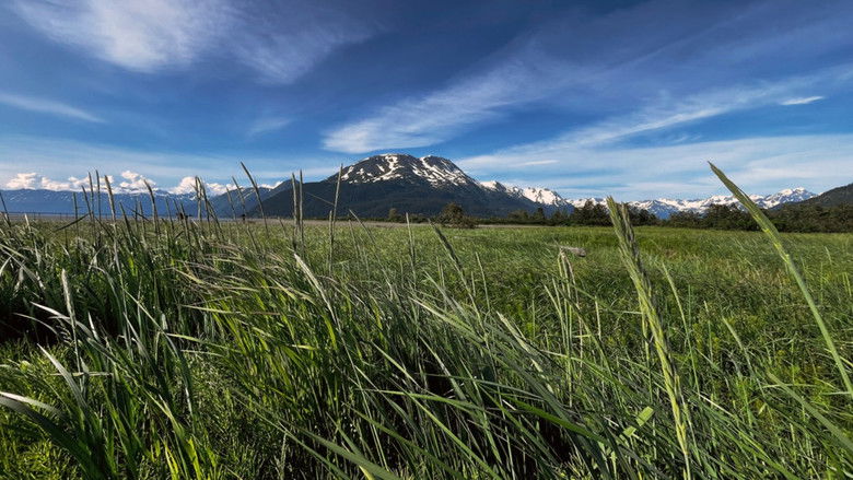 кадр из фильма Η ύβρις της ανθρωπότητας