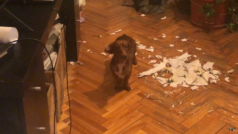 кадр из фильма El Desayuno