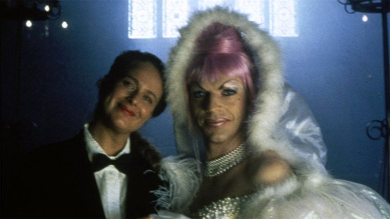 кадр из фильма Приключения Присциллы, королевы пустыни