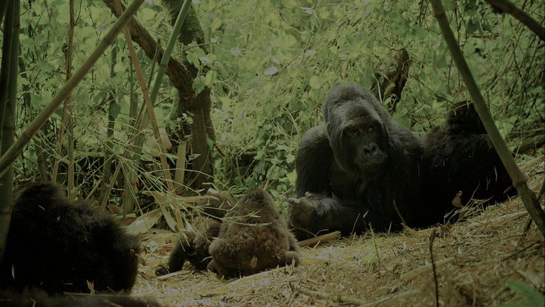 кадр из фильма BBC Дикая Африка