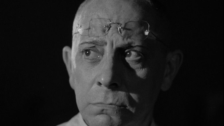 кадр из фильма The Lady and the Monster