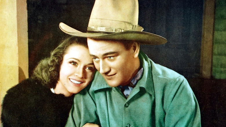 кадр из фильма Three Texas Steers