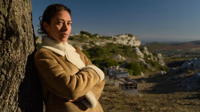 кадр из фильма Мед и кровь