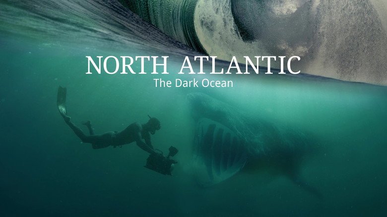кадр из фильма North Atlantic: The Dark Ocean