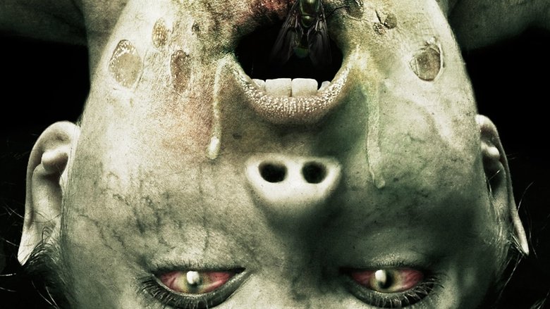 кадр из фильма Экзорцизм Молли Хартли