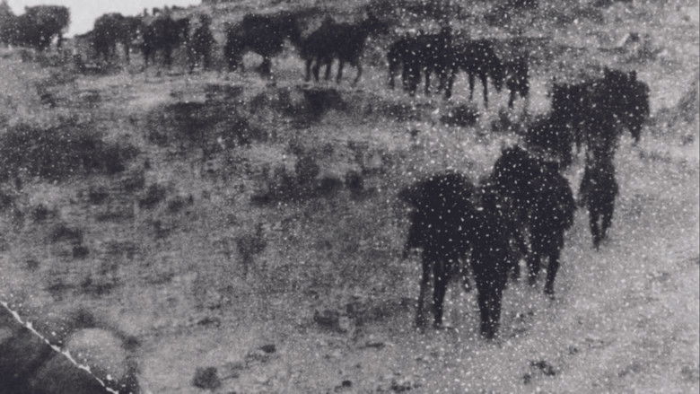 кадр из фильма Partition