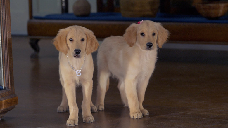 кадр из фильма Пятерка кладоискателей