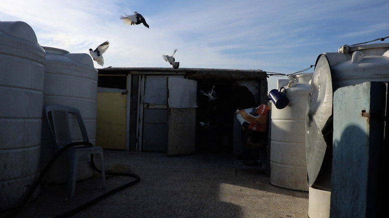 кадр из фильма Hossam, kishash