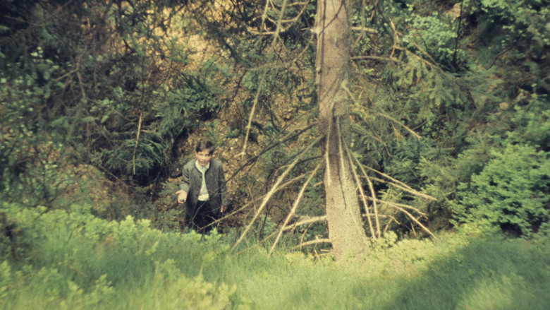 кадр из фильма Summer and Winter