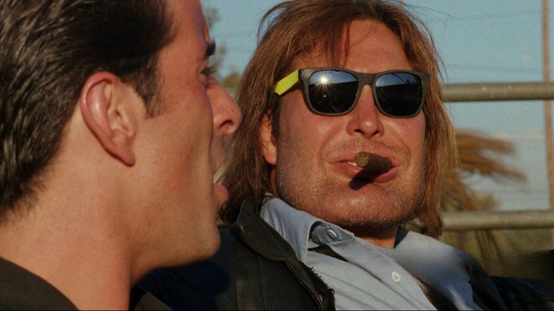 Долгая погоня