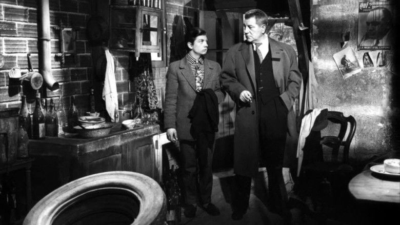 кадр из фильма Бродячие собаки без ошейников