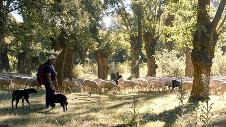 кадр из фильма Espagne, la voie des bergers