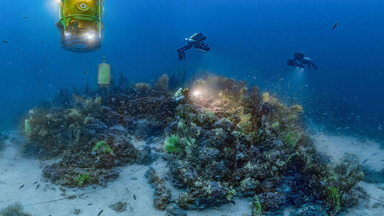 кадр из фильма Planète Méditerranée