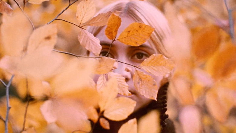 кадр из фильма Белая птица с чёрной отметиной