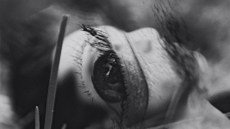 кадр из фильма Amos, Vogel