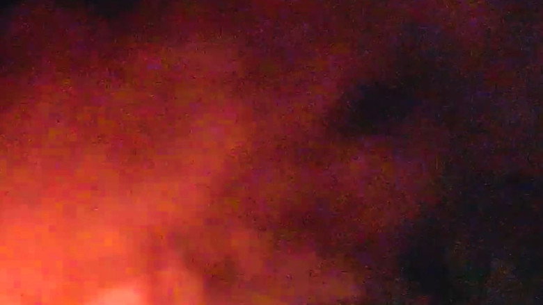 кадр из фильма Gatos e Câmeras